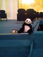 IMG_20230215_074553_HDR.jpg IMG_20230215_074553_HDR.jpg