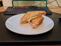 20230228_055129.jpg