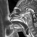 Deepthroat.jpg Deepthroat.jpg