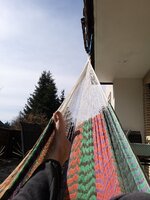 20230318_133611.jpg
