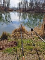 20230318_094738.jpg