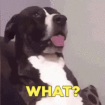 1680905113488.gif 1680905113488.gif