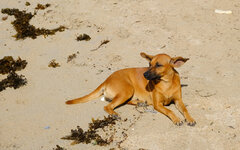 Palawan070.jpg Palawan070.jpg