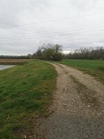 IMG_20230411_125549.jpg IMG_20230411_125549.jpg