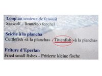 tittenfisch.jpg tittenfisch.jpg