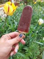 20230427_134906.jpg 20230427_134906.jpg