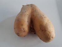 20230517_175910.jpg 20230517_175910.jpg