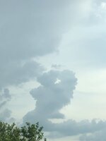 IMG_1191.jpeg IMG_1191.jpeg