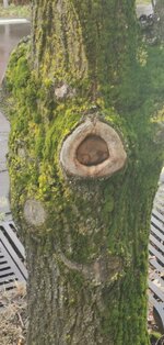 IMG_20230315_085840.jpg IMG_20230315_085840.jpg