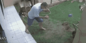 ezgif.com-crop-2.gif