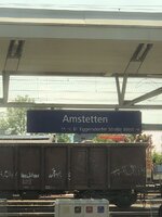 IMG_3913.jpeg