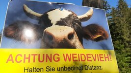 20220801_082200.jpg 20220801_082200.jpg