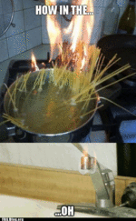 Y1cs.gif