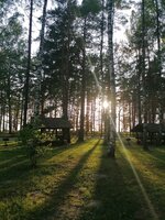 IMG_20230703_205057.jpg IMG_20230703_205057.jpg