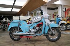 IMG_3031.jpeg IMG_3031.jpeg