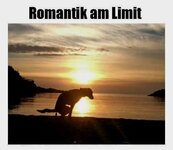 a9qA5x1_460swp.jpg a9qA5x1_460swp.jpg