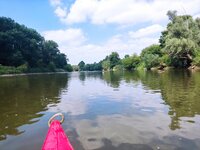 IMG_20230716_101442.jpg