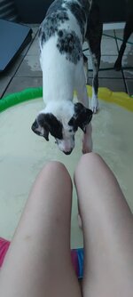 IMG_20230712_211033.jpg