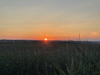 452CD264-2165-46AF-83D5-EDF96F510477.jpeg