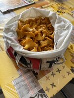IMG_8888.jpeg IMG_8888.jpeg