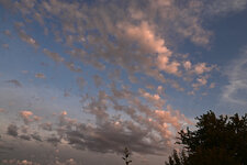 DSC_2963.jpg