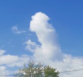 IMG_20230725_080946.jpg
