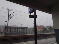 IMG_20230726_152805.jpg