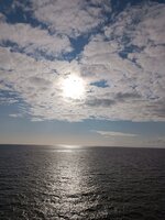 IMG_20230721_073031.jpg