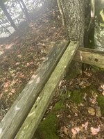 IMG_1432.jpeg