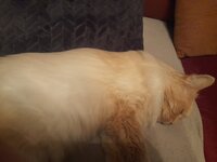 20230727_223631.jpg