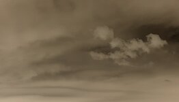 20230728_192903.jpg