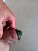 20230730_201504.jpg