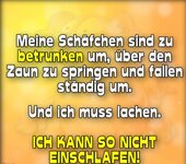 schaf.JPG