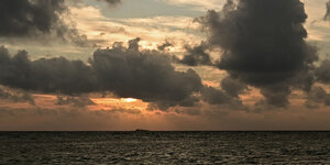DSC_8272.jpg