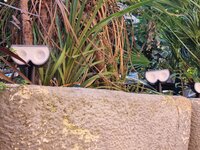 20230807_111324.jpg 20230807_111324.jpg