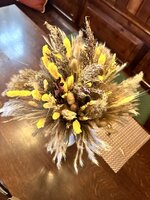 IMG_4286.jpeg