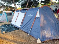 IMG_20230810_191042.jpg