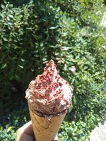 IMG_20230813_130051_HDR.jpg