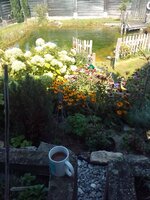IMG_20230815_133557.jpg