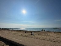 IMG_0334.jpeg