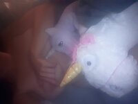 20230818_224501.jpg