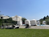 IMG_2269.jpeg