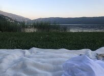 294F1F6A-A2C7-4841-875F-4824523BEBD7.jpeg 294F1F6A-A2C7-4841-875F-4824523BEBD7.jpeg