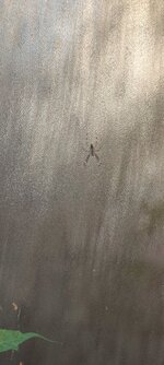 IMG_20230823_065640.jpg