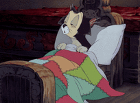 giphy (1).gif
