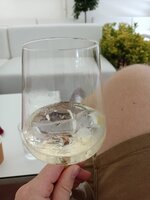 IMG_20230827_130502.jpg