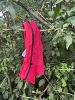 IMG_3095.jpeg IMG_3095.jpeg