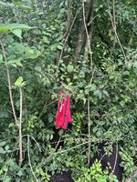 IMG_3096.jpeg IMG_3096.jpeg