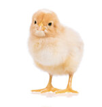 5F8A22F6-B95C-48BF-8D0F-8BA1C98218B8.jpeg 5F8A22F6-B95C-48BF-8D0F-8BA1C98218B8.jpeg