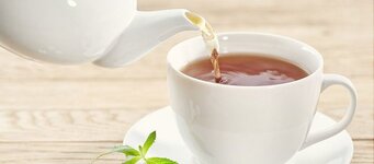 1693645308105.jpeg 1693645308105.jpeg